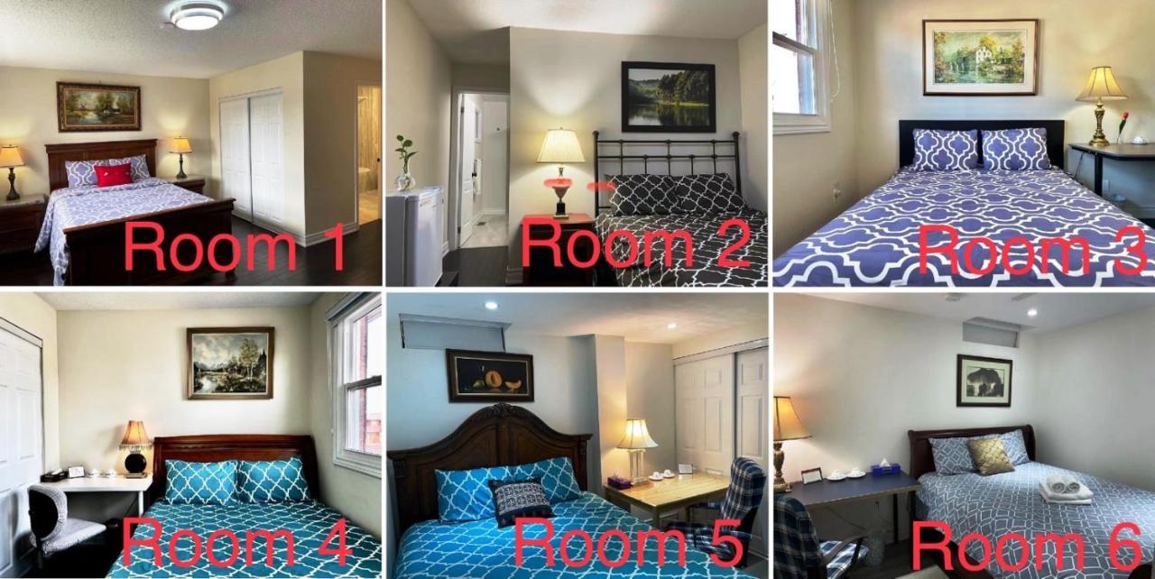 77 Nice And Warm Series Rooms Toronto Kültér fotó